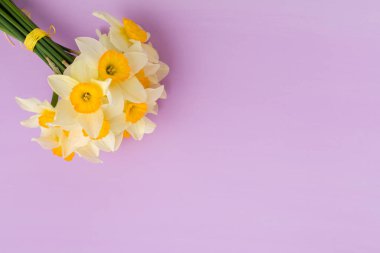 Kopya alanı Menekşe pastel zemin üzerine beyaz nergis buket.