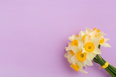 Kopya alanı Menekşe pastel zemin üzerine beyaz nergis buket.