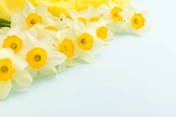 Flores de primavera Daffodil com decoração têxtil amarela em fundo pastel azul com espaço de cópia . — Fotografia de Stock