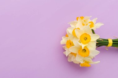 Kopya alanı Menekşe pastel zemin üzerine beyaz nergis buket.