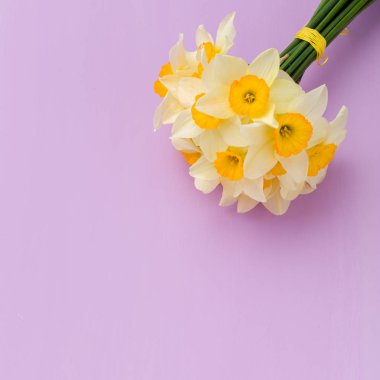 Kopya alanı Menekşe pastel zemin üzerine beyaz nergis buket.