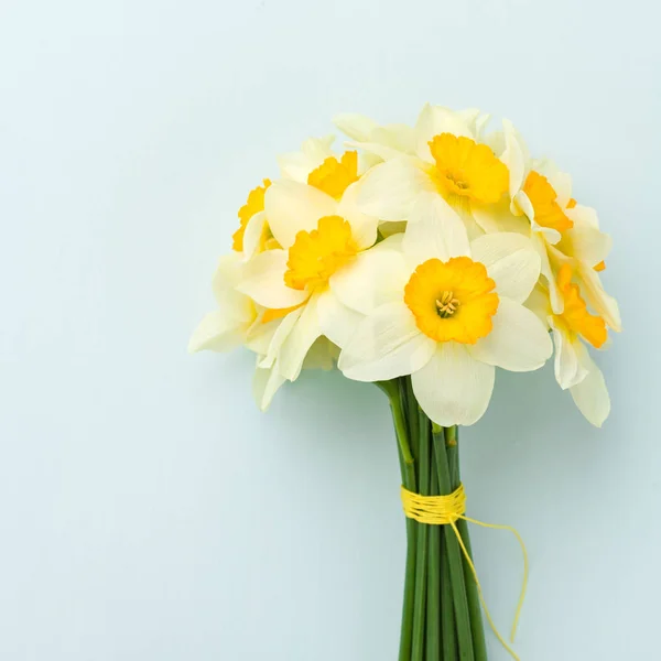 Buquê de narciso de flores de primavera vista superior do narciso branco no fundo pastel azul com espaço de cópia . — Fotografia de Stock