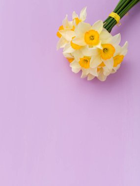 Kopya alanı Menekşe pastel zemin üzerine beyaz nergis buket.