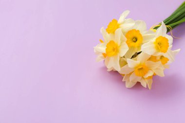 Kopya alanı Menekşe pastel zemin üzerine beyaz nergis buket.