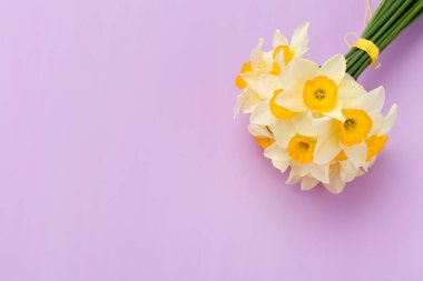 Kopya alanı Menekşe pastel zemin üzerine beyaz nergis buket.