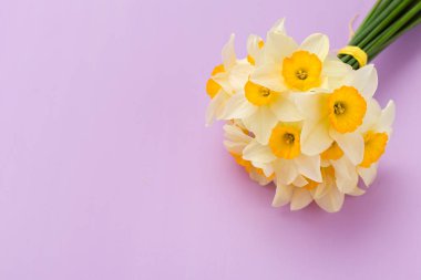 Kopya alanı Menekşe pastel zemin üzerine beyaz nergis buket.