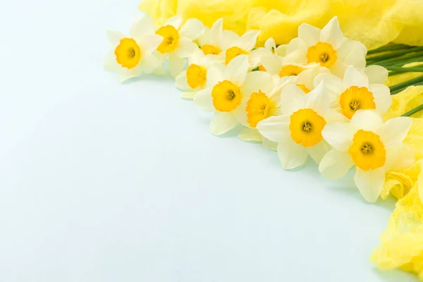 Flores de primavera Daffodil com decoração têxtil amarela em fundo pastel azul com espaço de cópia . — Fotografia de Stock