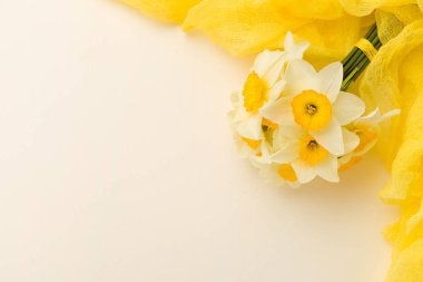 Sarı Tekstil dekorasyon kopya alanı pastel zemin üzerine beyaz nergis buket.