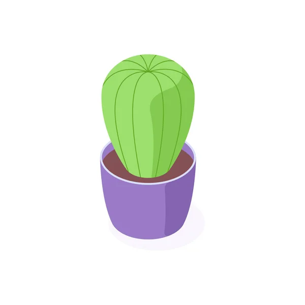 Green cactus in pot isometric - potted houseplant for interior decoration. — Stock Vector
