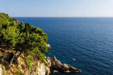 Dubrovnik, Hırvatistan Adriyatik Denizi üzerinde iğne yapraklı kayalık sahil