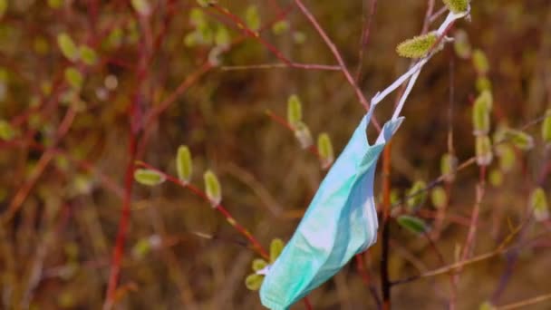 Медицинская маска висит на ивовых ветвях под открытым небом в лесу. Весенний ветер ранней весной . — стоковое видео