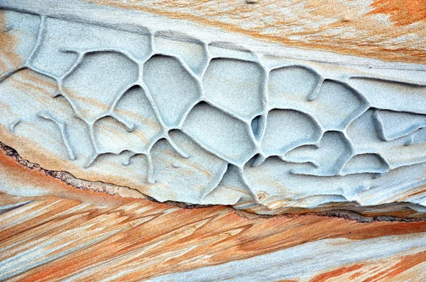 Textured weathered Sydney sandstone