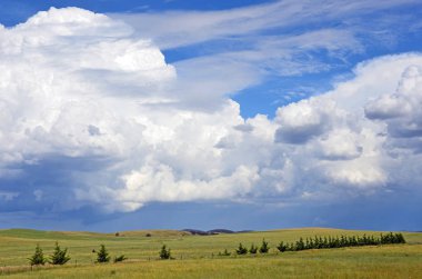 Cennet yeşil kırsal üzerinde