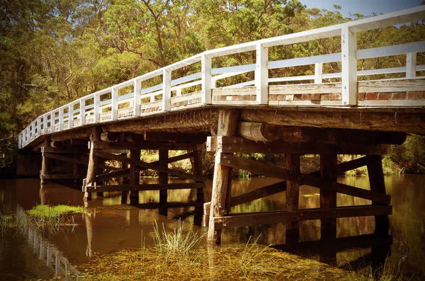 Rustika träbro över floden i skogen på en sommardag — Stockfoto