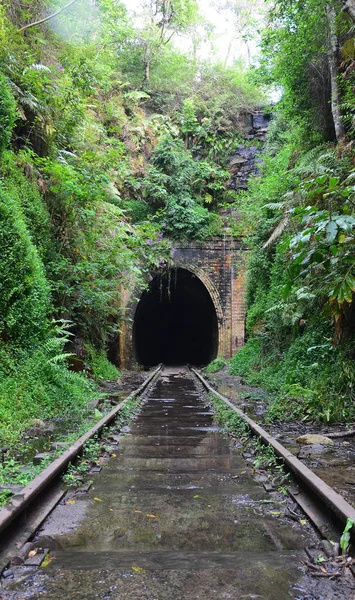 Opuštěné historické železniční tunel — Stock fotografie