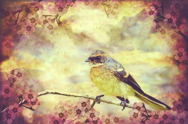 Küçük Vintage Songbird