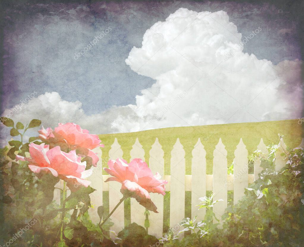 Vintage cottage rose garden background