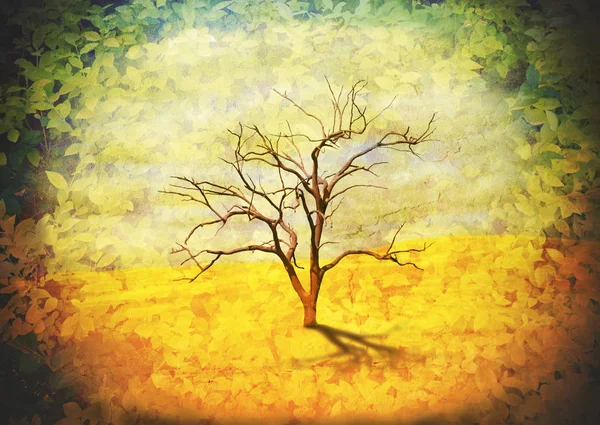Листяне дерево в пустельному ландшафті, обрамленому листяною люттю — стокове фото