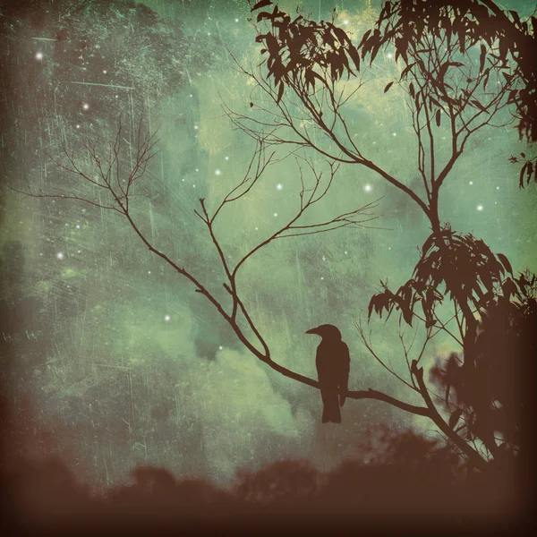 Songbird silhouette against moody evening sky