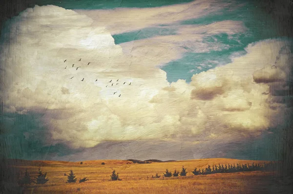 Teksturowane krajobrazy pól i cloudscape — Zdjęcie stockowe