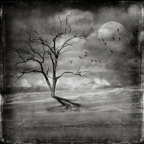 Çorak çöl peyzaj ölü ağaçlar