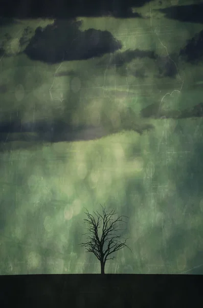 Pojedynczy Bezlistne Drzewa Martwe Polu Sylwetki Przed Grunge Teksturowanej Deszcz — Zdjęcie stockowe