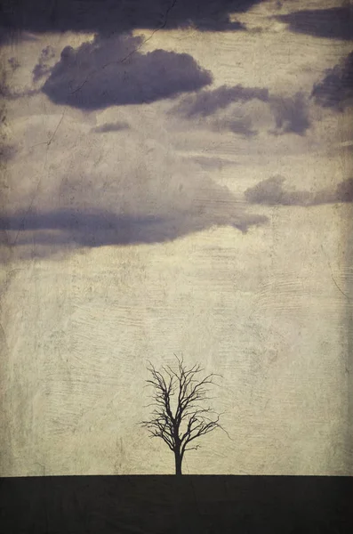 Pojedynczy Bezlistne Drzewa Martwe Polu Sylwetki Przed Grunge Teksturowanej Burzliwy — Zdjęcie stockowe
