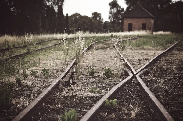 Εγκαταλελειμμένα Σιδηροδρομικά Ναυπηγεία Moody Στο Τέλος Της Γραμμής Στο Cowra — Φωτογραφία Αρχείου