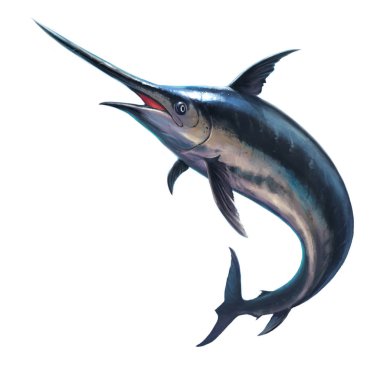 Beyaz bir arka plan üzerinde balık kılıç