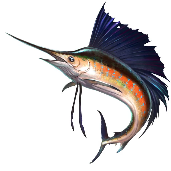 Sailfish beyaz — Stok fotoğraf