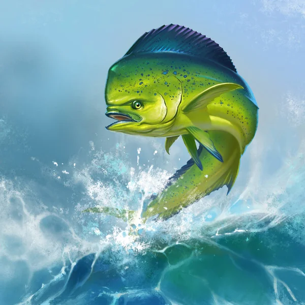 Mahi mahi or dolphin fish — Stock Photo, Image