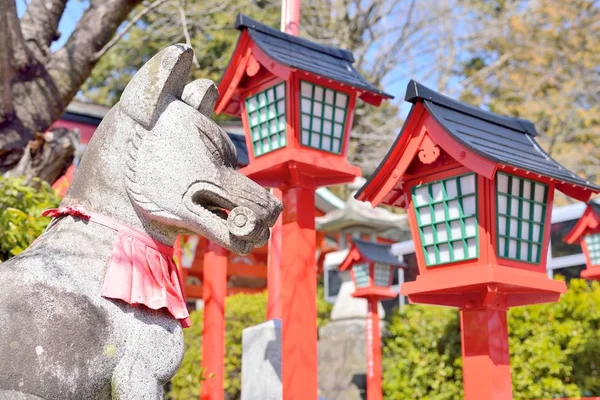 Lanternes rouges et renards en Inuyama, Japon Images De Stock Libres De Droits