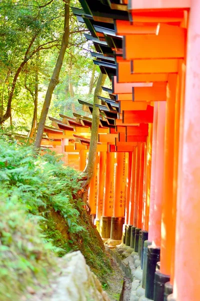 Kırmızı yakın Fushimi Inari Taisha kapılarında. Japonca yazılmış yazılarda dilek.