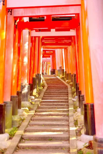 京都・伏見稲荷神社の赤い鳥居門と石段. — ストック写真