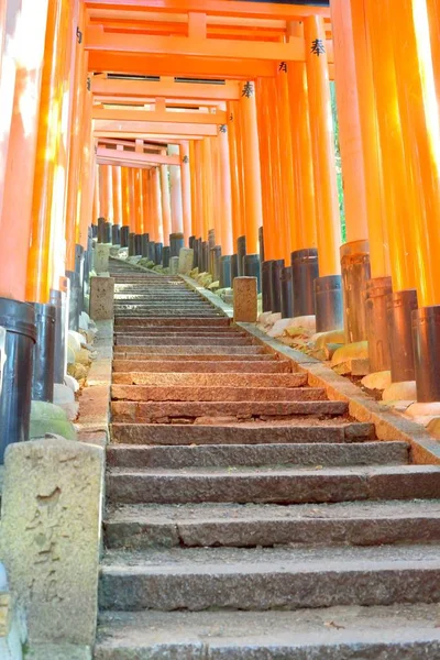 Fushimi Inari Tapınağı'nda kırmızı torii kapıları ve taş basamaklar, Kyoto.