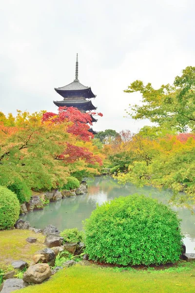 Beş katlı pagoda ve sonbahar yaprakları Kyoto Toji tapınağında