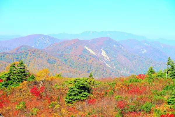 Kurikoma dağlarında Akita ve Iwate, sonbahar renkleri
