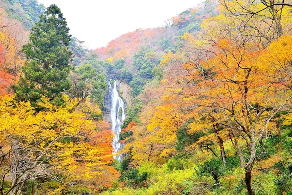 Okayama Kanba Şelalesi ve sonbahar renkleri