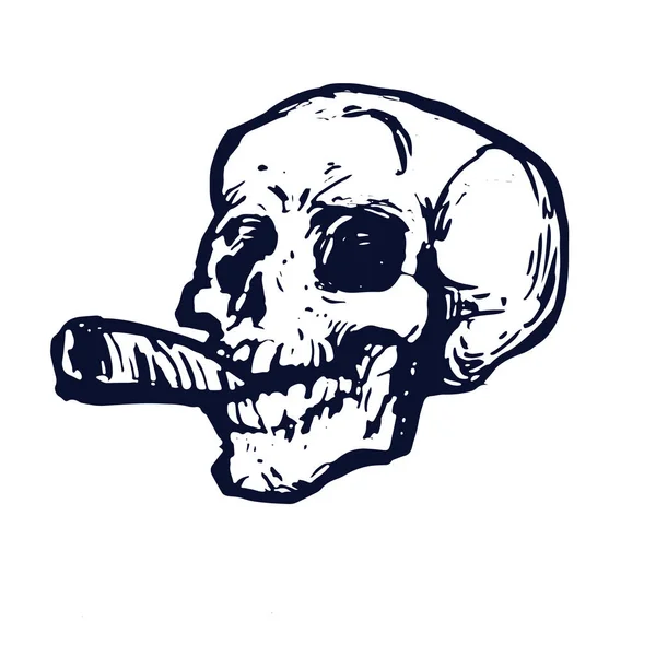 Cráneo Con Cigarros Bosquejo Bosquejo Tinta Fondo Blanco Ilustración Vector —  Fotos de Stock