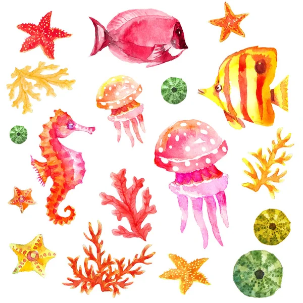 かわいい海の生活動物コレクション熱帯魚 クラゲ サンゴ 海の星 タツノオトシゴ水彩イラスト背景白に設定 — ストック写真