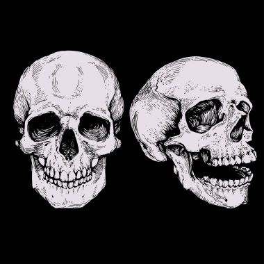 Kafatası iskeleti kafa mürekkep oyma baskı hisse senedi vektör anatomi illüstrasyon kroki siyah arka plan üzerine beyaz gravür çizilmiş çizgiyi sanat el