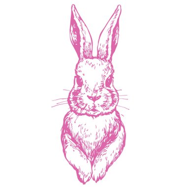 Tavşan, tavşan, kitap sayfa boyama için şirin küçük tavşan elle çizilmiş hat sanat mürekkep kroki hisse senedi vektör çizim