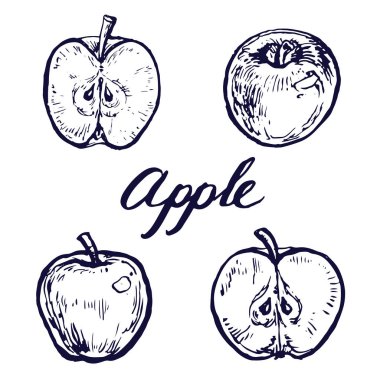 Elma yeşil ve beyaz arka plan mürekkep kroki elle çizilmiş Hat sanatı üzerinde izole kırmızı ve dilimleri toplama kitap sayfa boyama için illüstrasyon doodle