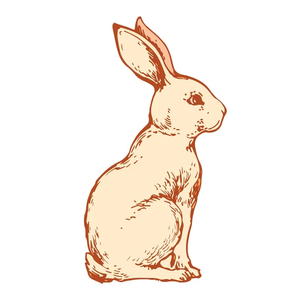 Kanin Hare Söt Liten Bunny Handritade Linje Konst Bläck Skiss — Stock vektor