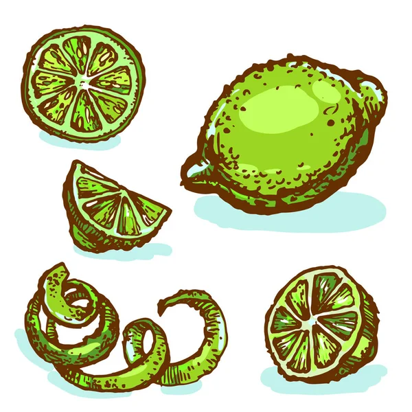 Citrus Lime Grön Samling Bläck Skiss Hand Dras Illustration Isolerade — Stock vektor