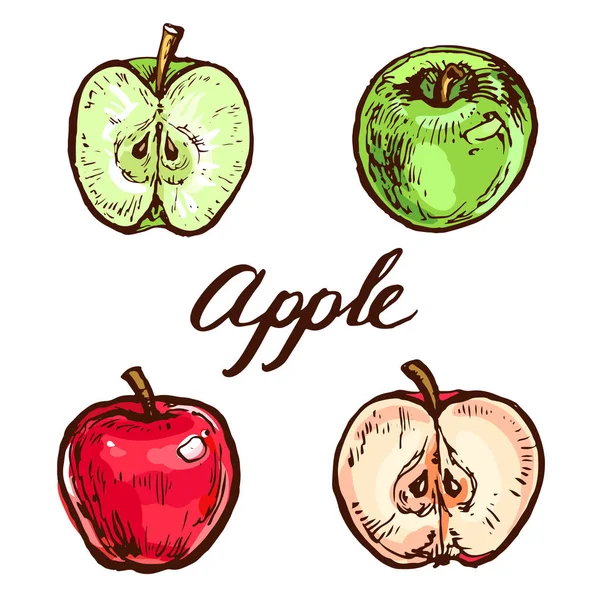 Πράσινο Μήλο Και Κόκκινο Και Φέτες Συλλογή Που Απομονώνονται Λευκό — Διανυσματικό Αρχείο