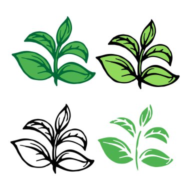 Bitki yetişiyor, yaprak ikonu setiyle filizleniyor. El çizimi sanat eseri stok vektörü çizimi