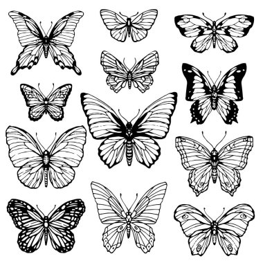 Kelebek çizgisi beyaz arka planda izole edilmiş. El çizimi mürekkep çizimi. Stok vektör koleksiyonu seti, boyama kitabı sayfası için tasarım