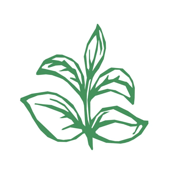 Crescimento Plantas Broto Com Ícone Folhas Ilustração Vetor Estoque Desenhado — Vetor de Stock