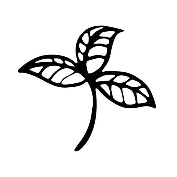 Растение Растет Росток Иконой Листьев Векторная Иллюстрация Ручной Работы — стоковый вектор